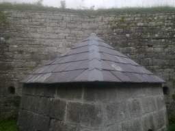 shannonbridge cap-1924.jpg